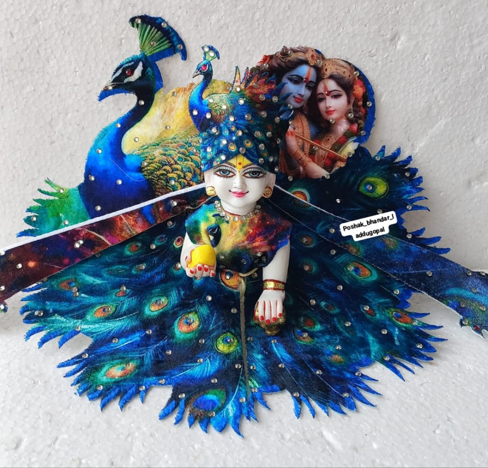 Mayur dress with velcro mukut 5 no.