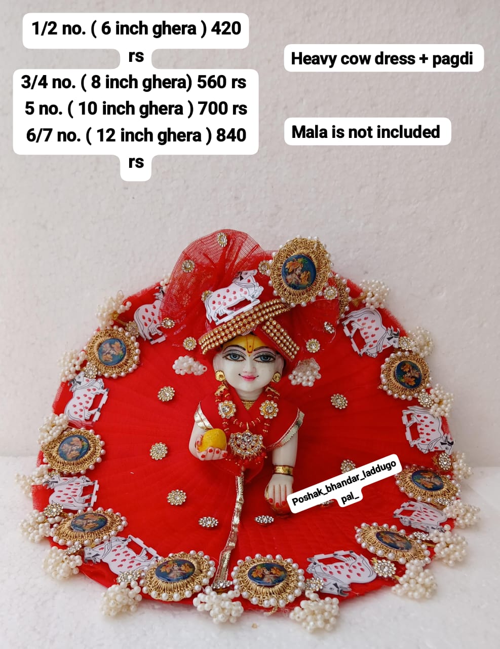 Cow dress with pagdi