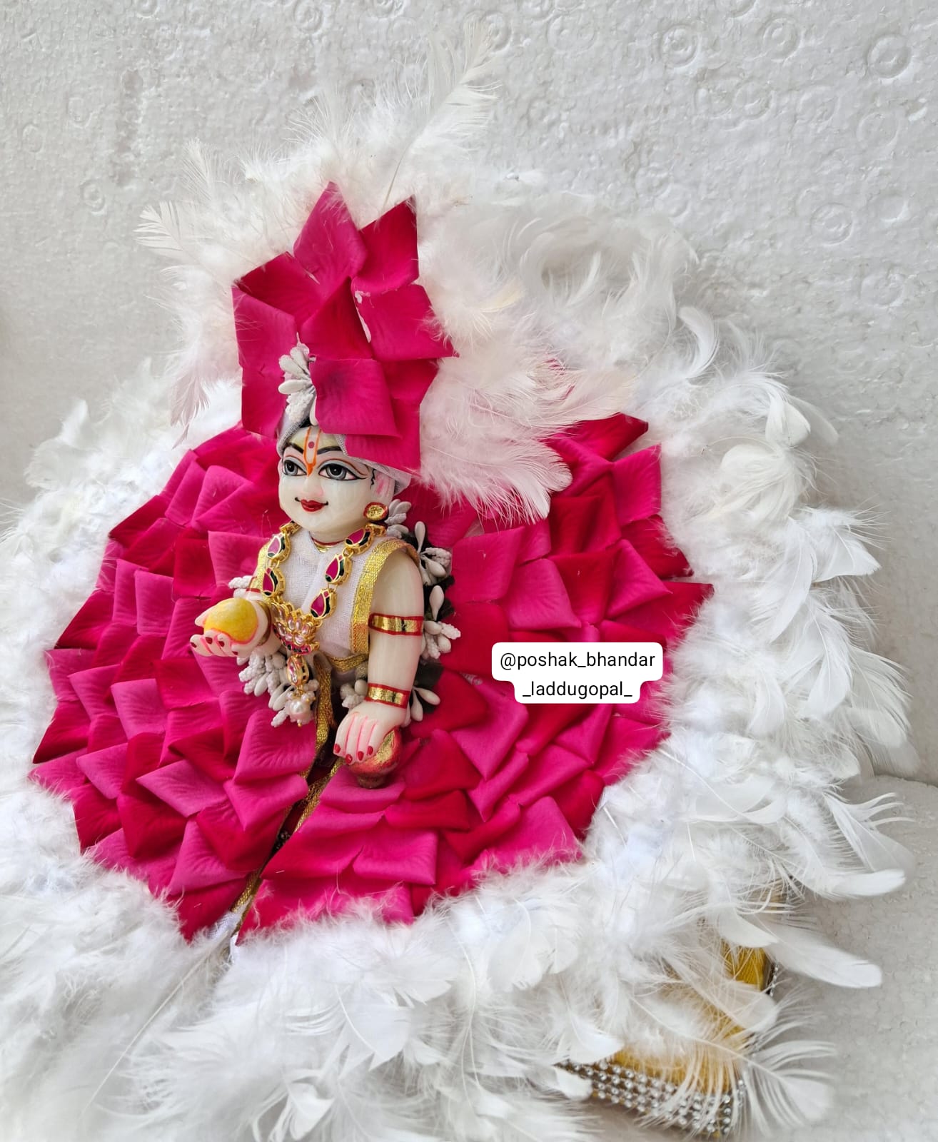 6 no. Size rose petal dress + pagdi