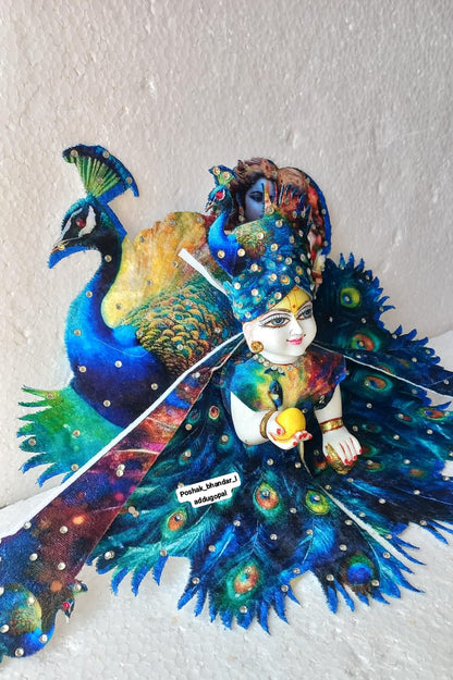 Mayur dress with velcro mukut 5 no.