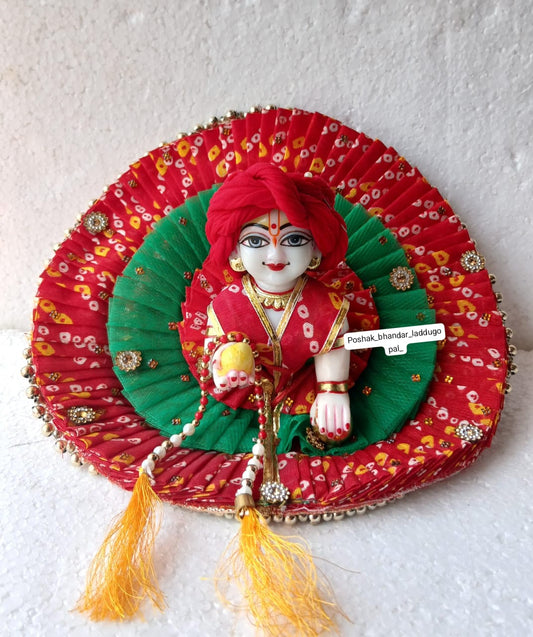 5 no. Dress with Safa and patka