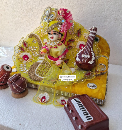 Musical instrument ( toy set )