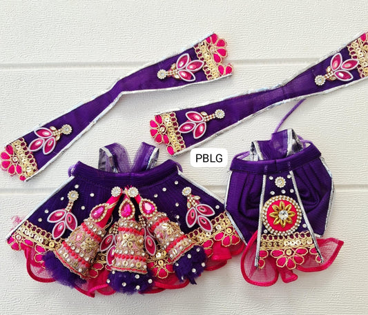 Heavy Laxmi ganesh dress