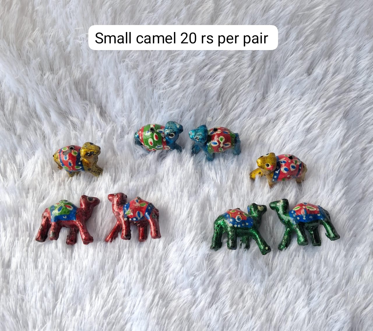 Small camel