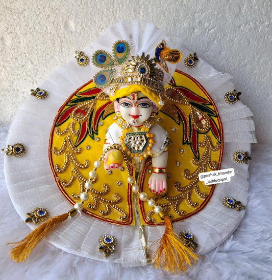 Heavy handwork dress with heavy pagdi