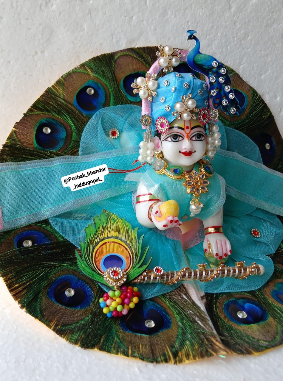 Heavy morpankh dress with mor pagdi