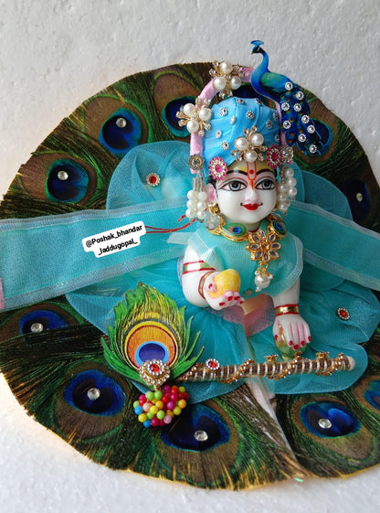 Heavy morpankh dress with mor pagdi