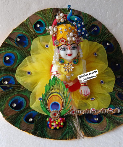 Heavy morpankh dress with mor pagdi
