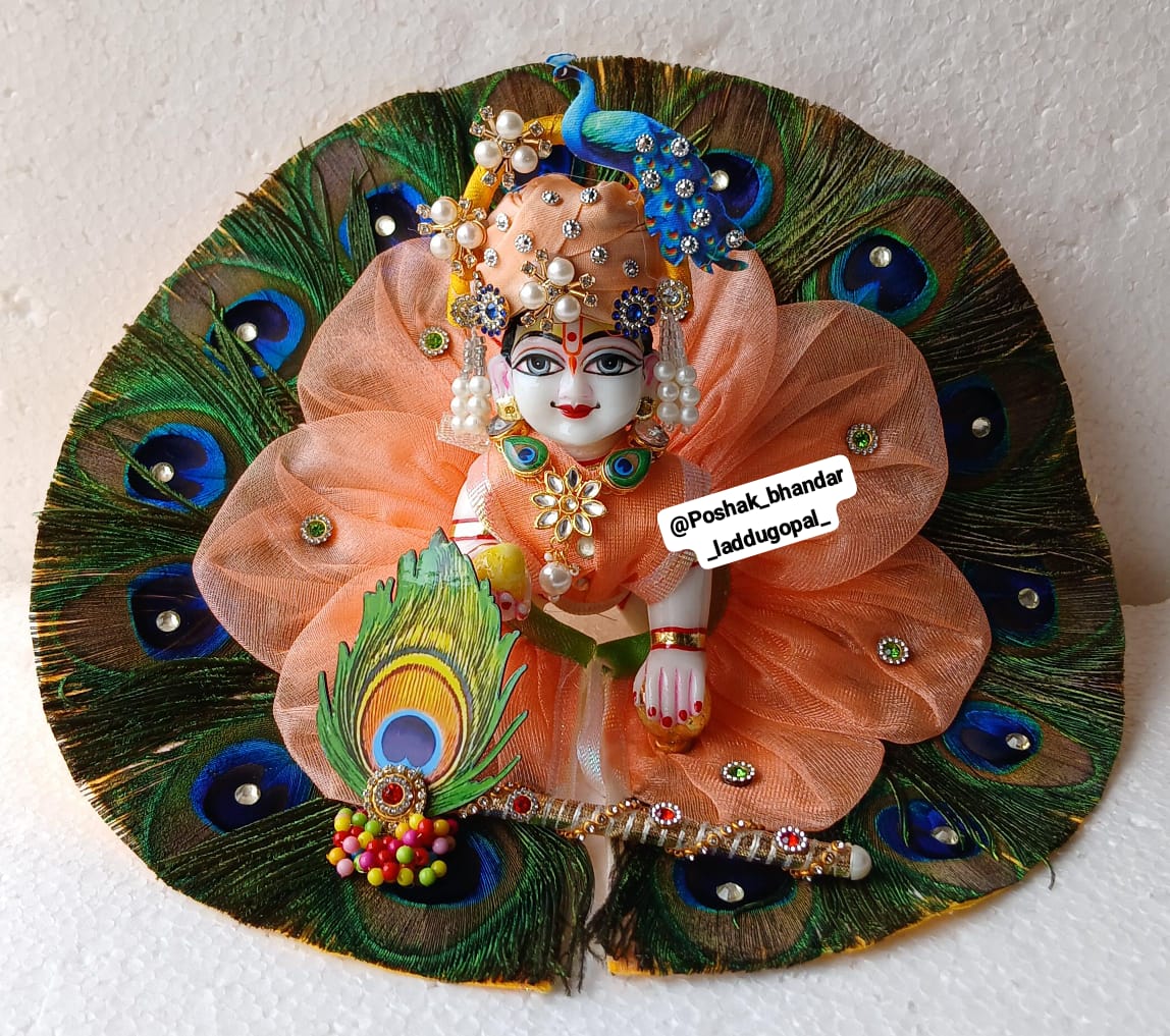 Heavy morpankh dress with mor pagdi