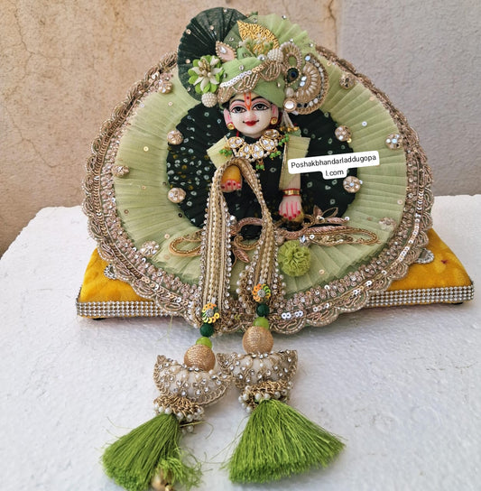 New heavy dress with pagdi and patka