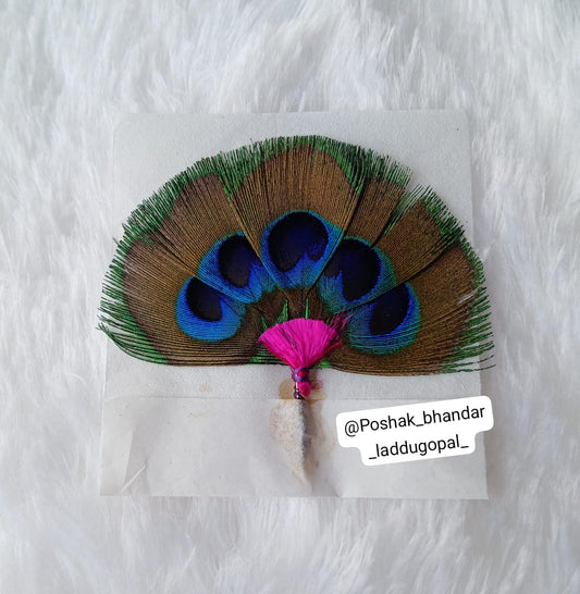 Panch par kalangi morpankh