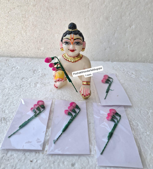Kamal chadi  for kanha ji