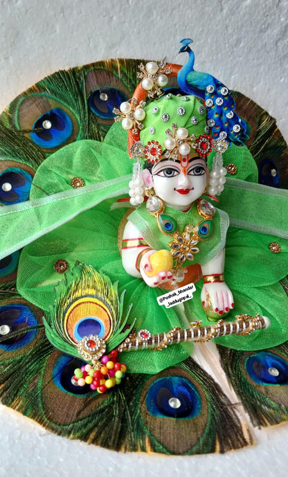 Heavy morpankh dress with mor pagdi