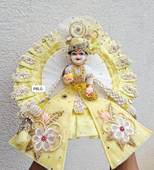 Fancy heavy dress with pagdi and patka