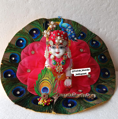 Heavy morpankh dress with mor pagdi