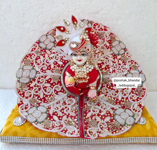 Heavy handwork Red zardosi work