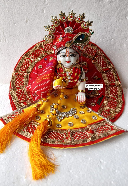 Heavy bandhini dress with heavy pagdi