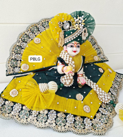 Heavy unique design poshak (2/6 no. Only )