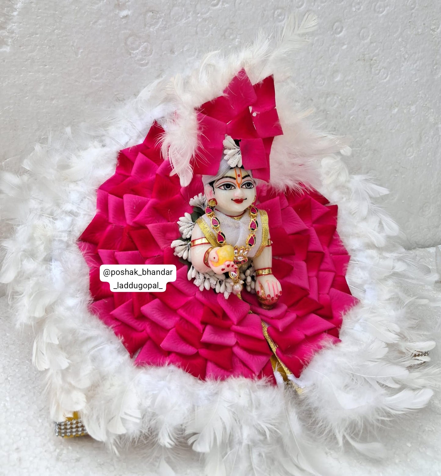6 no. Size rose petal dress + pagdi