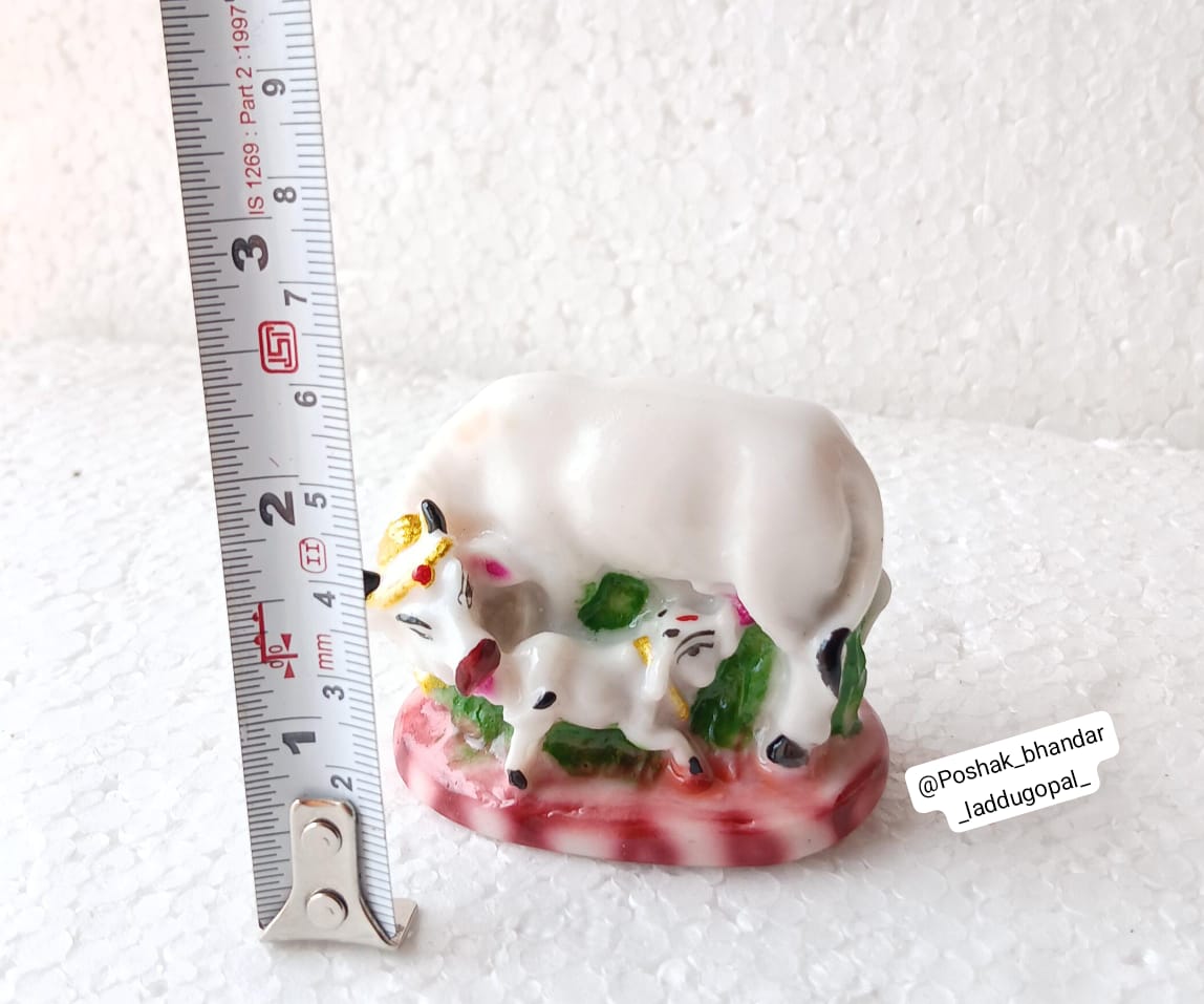 Small cow