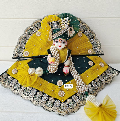 Heavy unique design poshak (2/6 no. Only )