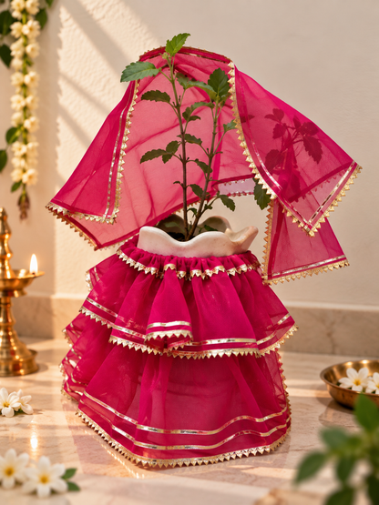 Tulsi ji dress