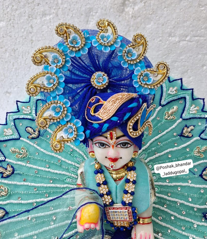 Peacock handwork dress