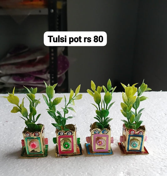 Tulsi pot