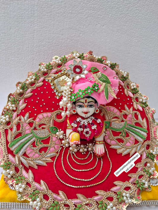 Rani pink colour Parrot dress(5/6/7 no.)